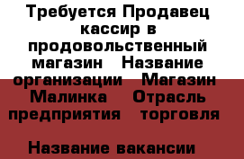 Требуется Продавец-кассир в продовольственный магазин › Название организации ­ Магазин “Малинка“ › Отрасль предприятия ­ торговля › Название вакансии ­ продавец-кассир › Место работы ­ ул. Светлая 2б - Пензенская обл., Пенза г. Работа » Вакансии   